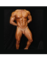 Online sale of Copper colour pack Thong